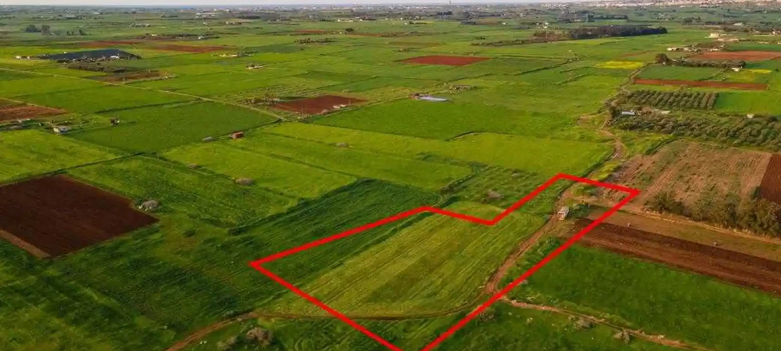 Market example Landbrugsjord