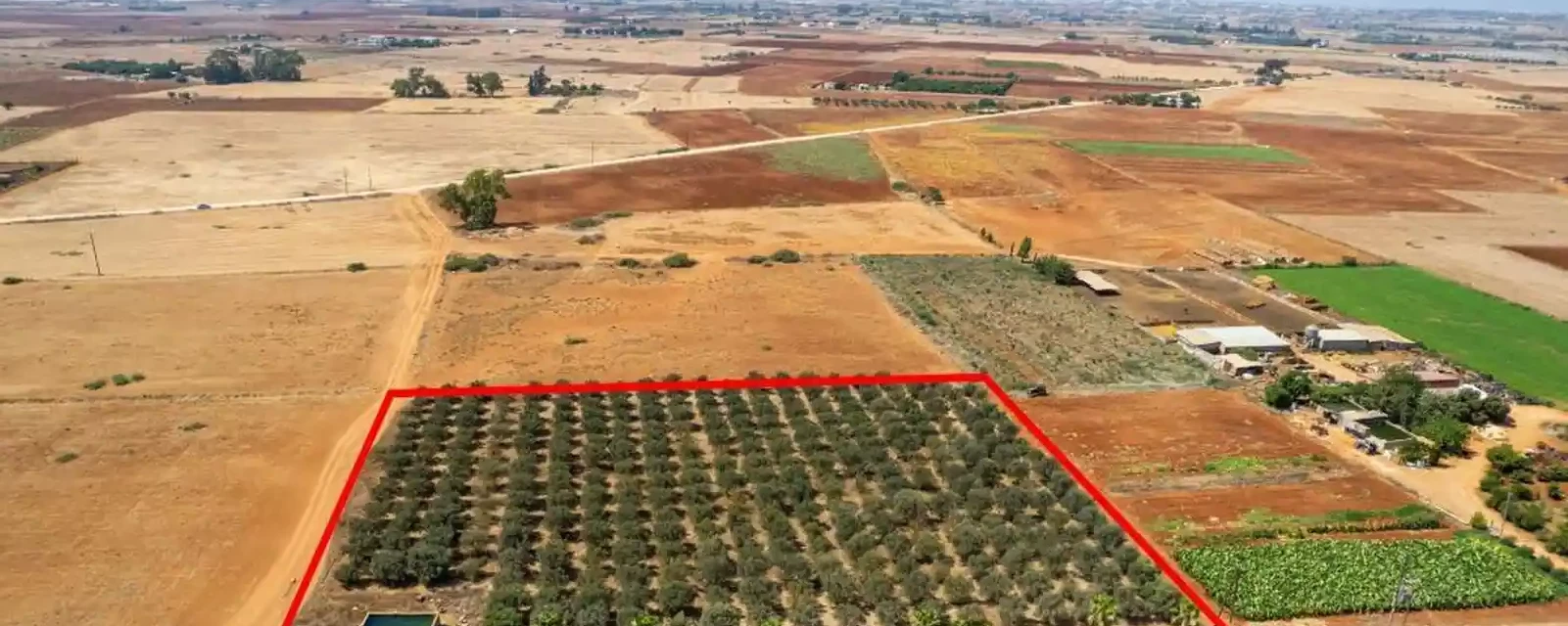 Market example Landbrugsjord