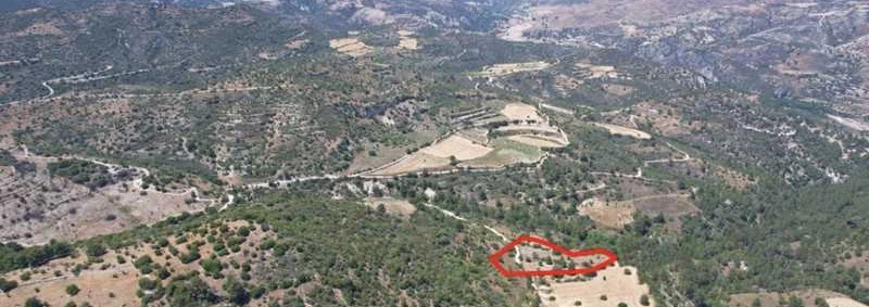 Market example Landwirtschaftsfläche