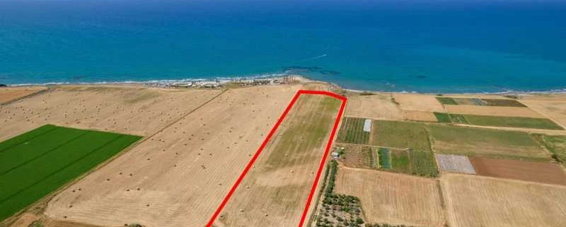 Market example Grunt rolny