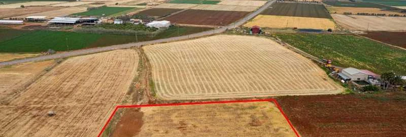 Example Landbrugsjord in Famagusta