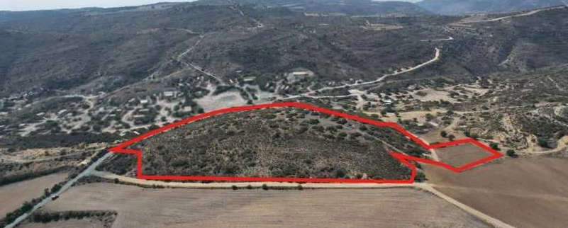 Market example Grunt rolny