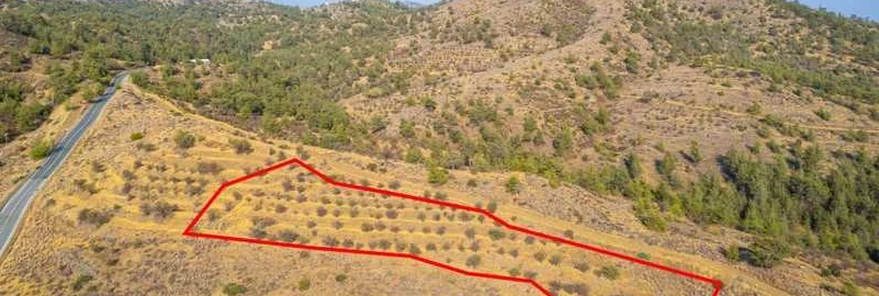 Hidden example Сільськогосподарська земля