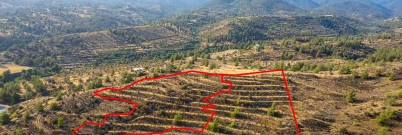 Market example Сільськогосподарська земля