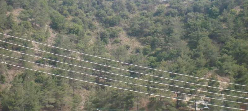 Market example Grunt rolny