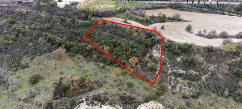 Market example Landwirtschaftsfläche