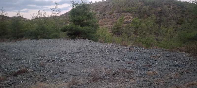 Market example Grunt rolny