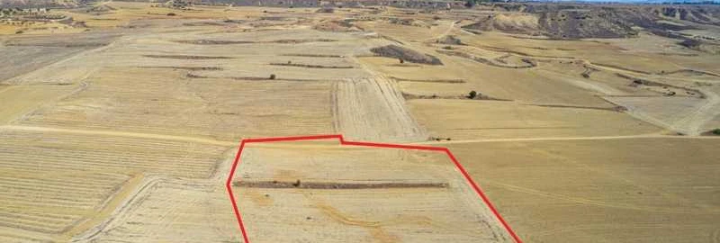 Market example Сільськогосподарська земля