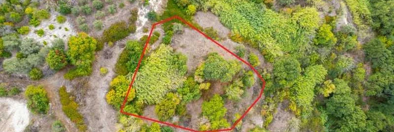 Example Landwirtschaftsfläche in Paphos