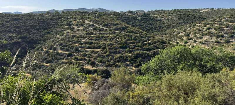 Example Grunt rolny in Limassol