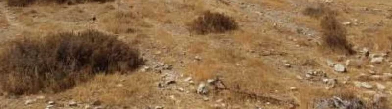 Example Industrieimmobilie in Limassol