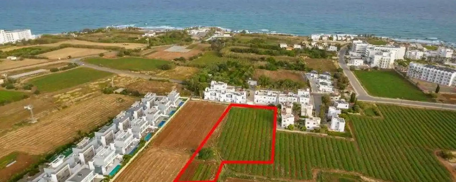 Market example Touristic