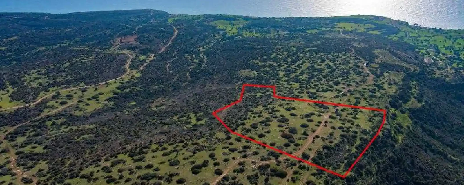 Example Turist ejendom in Limassol