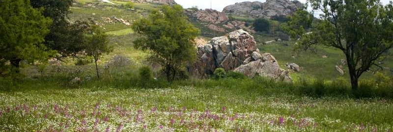 Example Touristic in Paphos