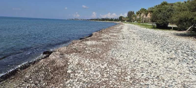 Example Villa in Larnaka